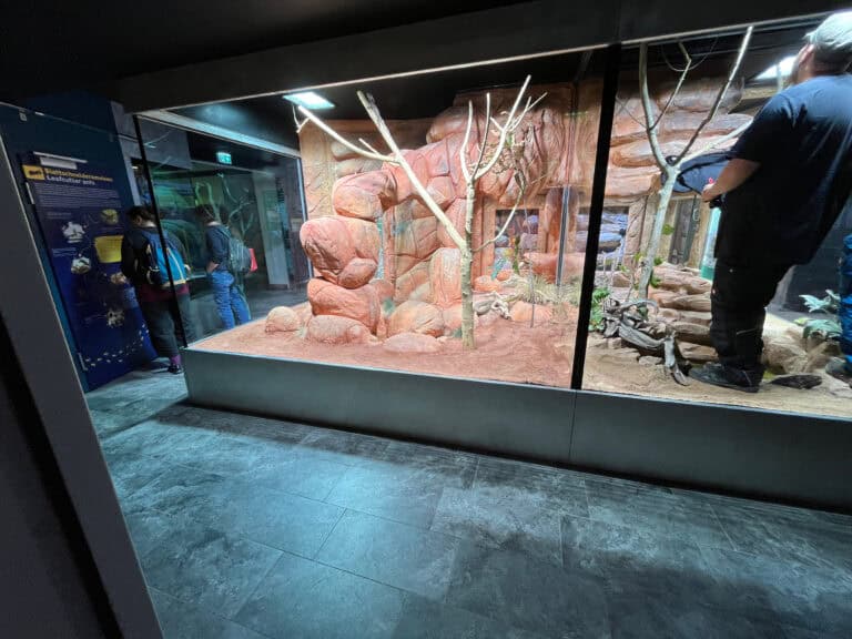 Europas modernste Giftschlangenabteilung