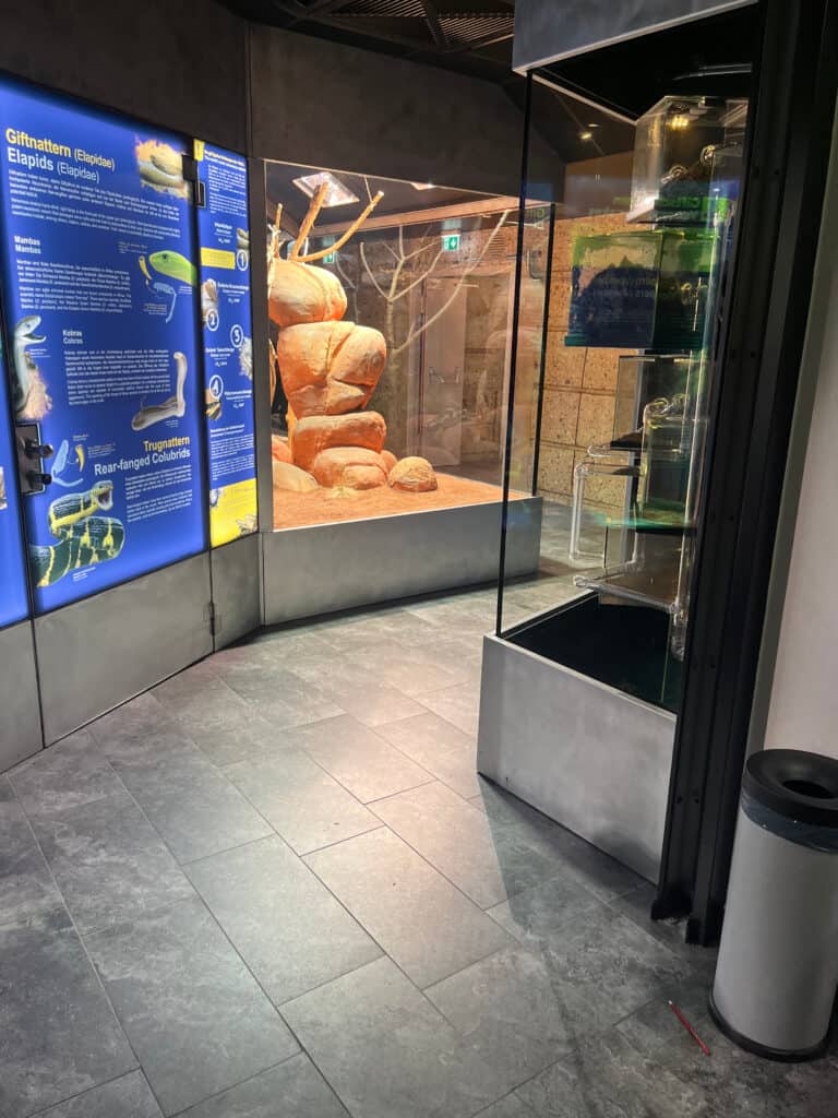Europas modernste Giftschlangenabteilung im Haus des Meeres
